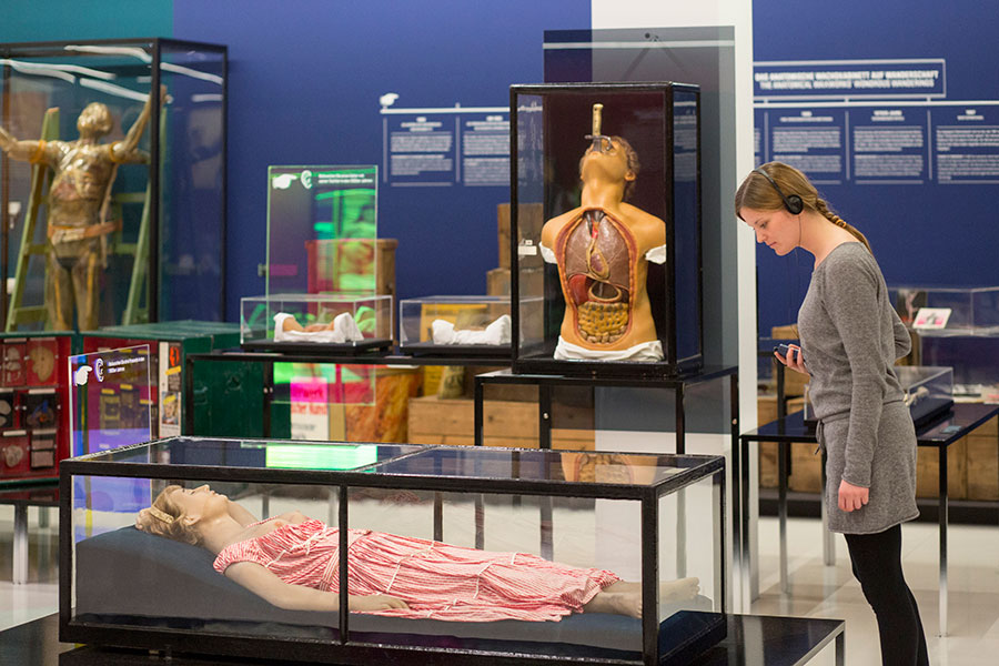 Anatomical Waxwork Cabinet